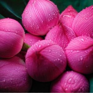 Meet your Posher, Mai